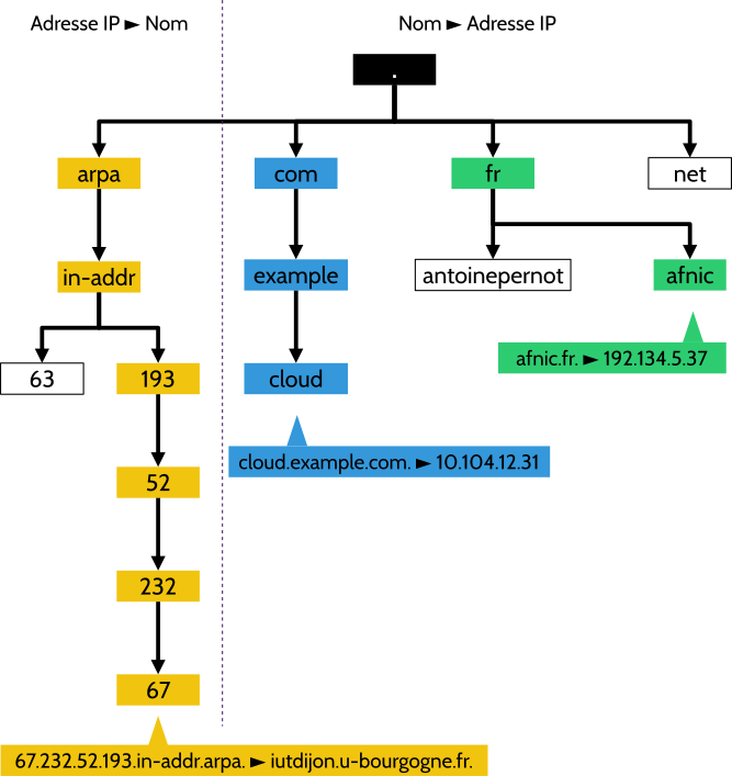 Représentation graphique de l'arborescence DNS